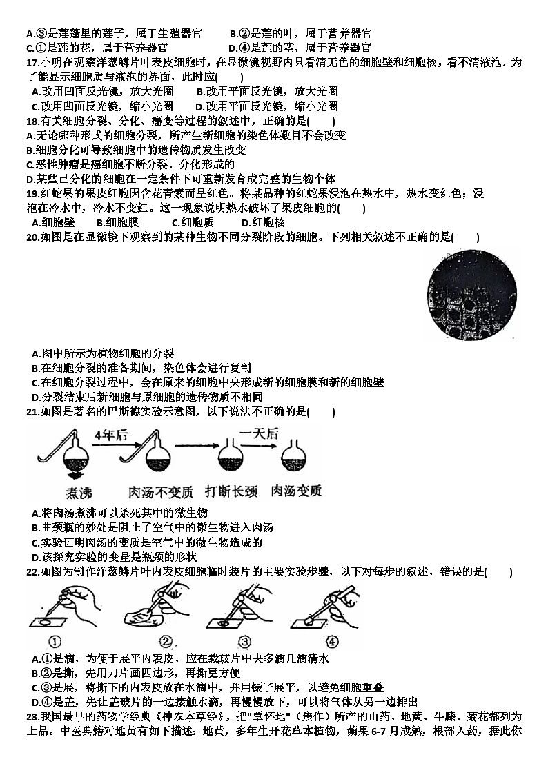 山东省德州市齐河2024—2025学年第一学期七年级生物期中考试试题（含答案）第3页