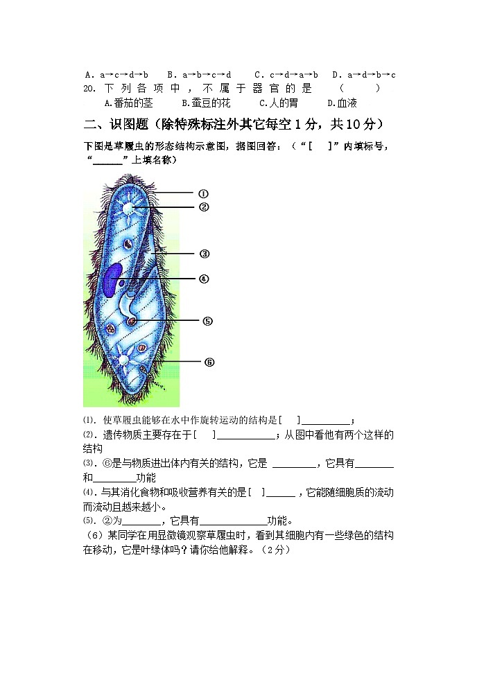 初一期中考试生物试题及答案第3页