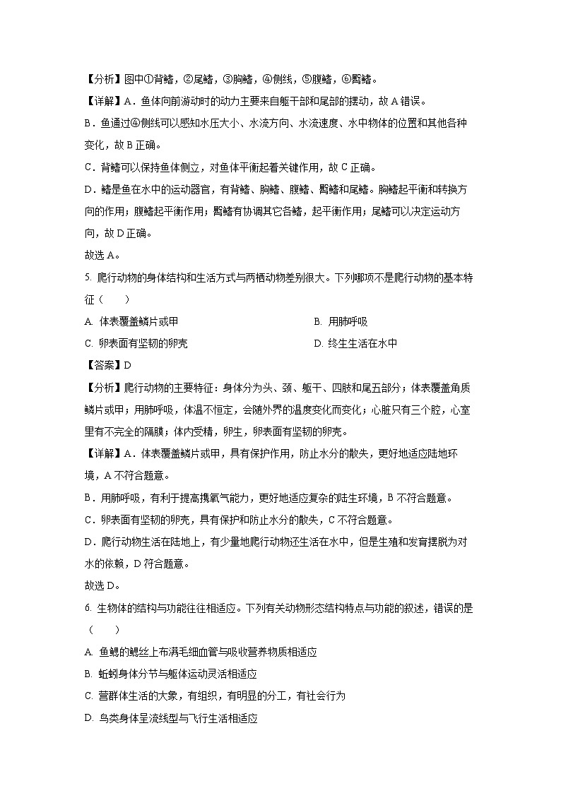 广西部分市县区联考2023-2024学年八年级下学期期中生物试卷(解析版)第3页