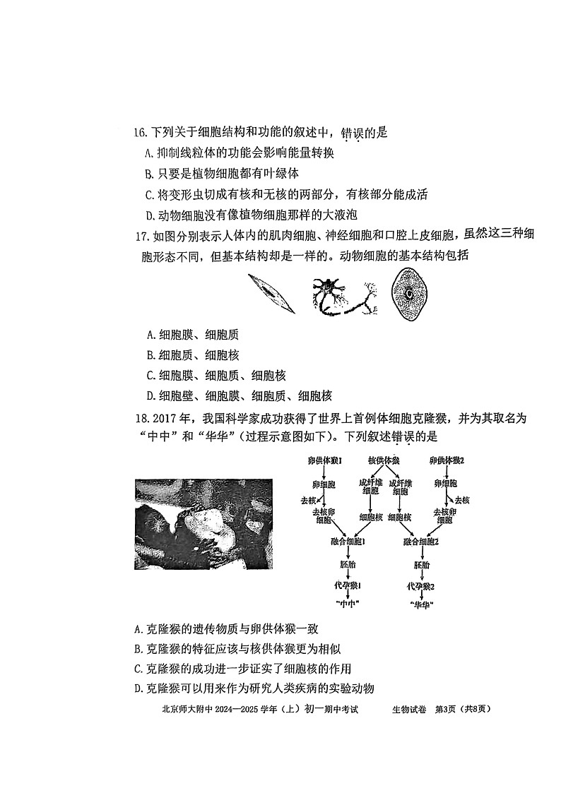 2024北京北师大附中初一上学期期中生物试卷及答案03