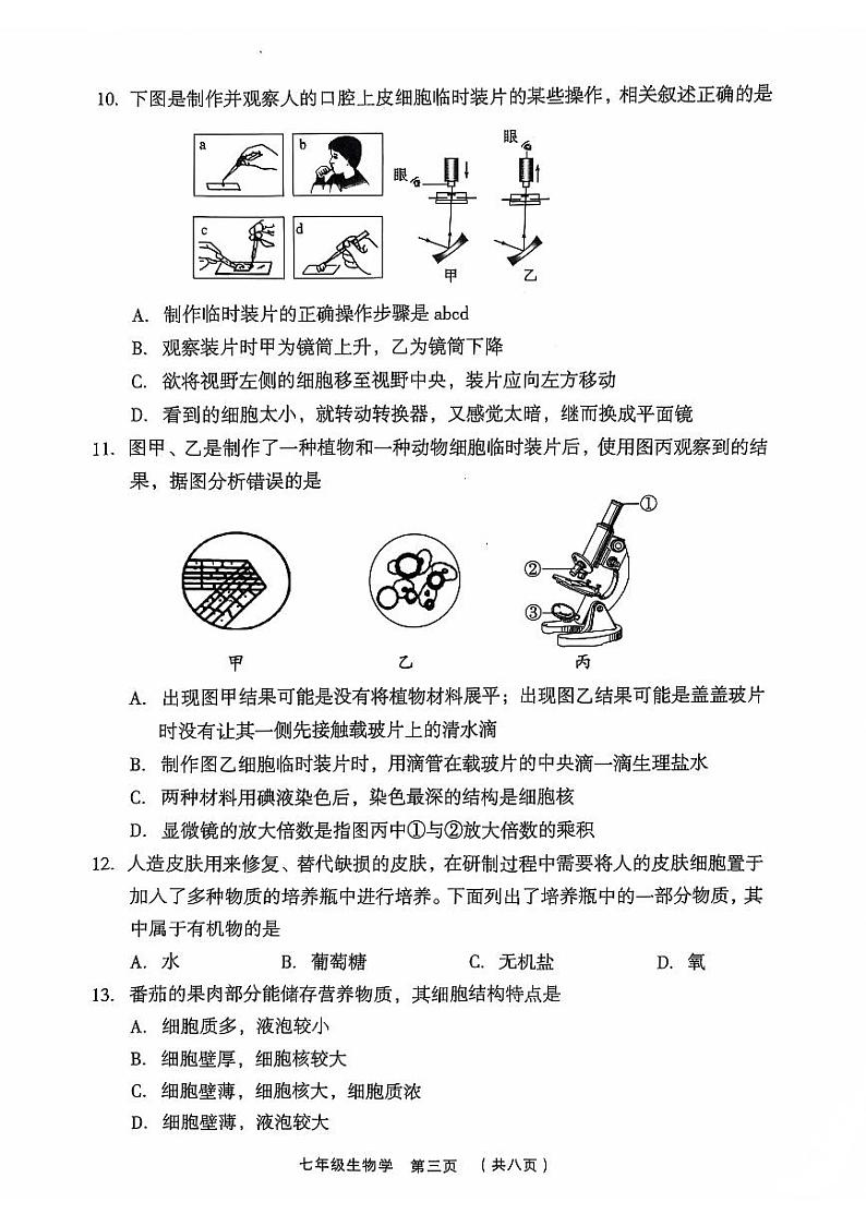 七上生物期中考试试题 2024-11-05第3页