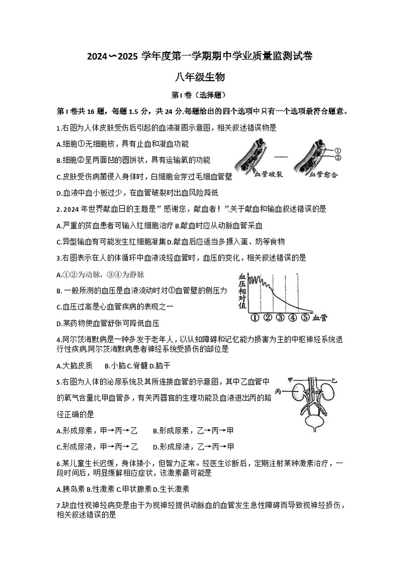 江苏省南通市崇川区2024-2025学年八年级上学期11月期中生物试题word版含答案01