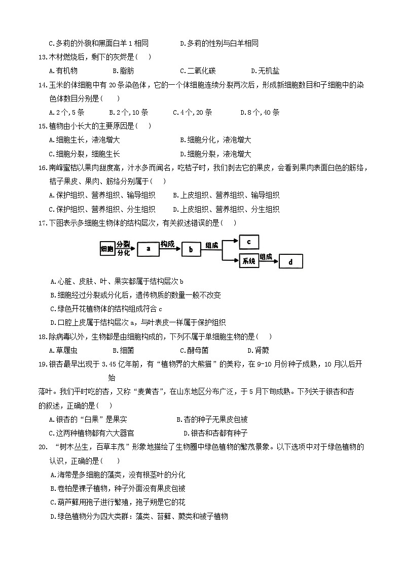 江西省九江市柴桑区2024-2025学年七年级上学期11月期中生物试题第3页