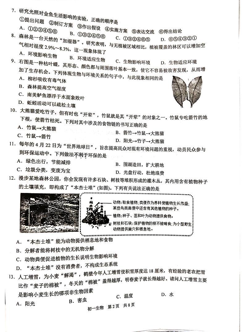 江苏省苏州市2024-2025学年七年级上学期11月期中生物试题02