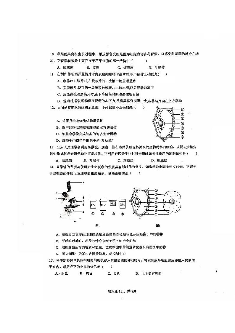 广东省江门市蓬江区省实学校2024-2025学年七年级上学期期中生物卷第3页
