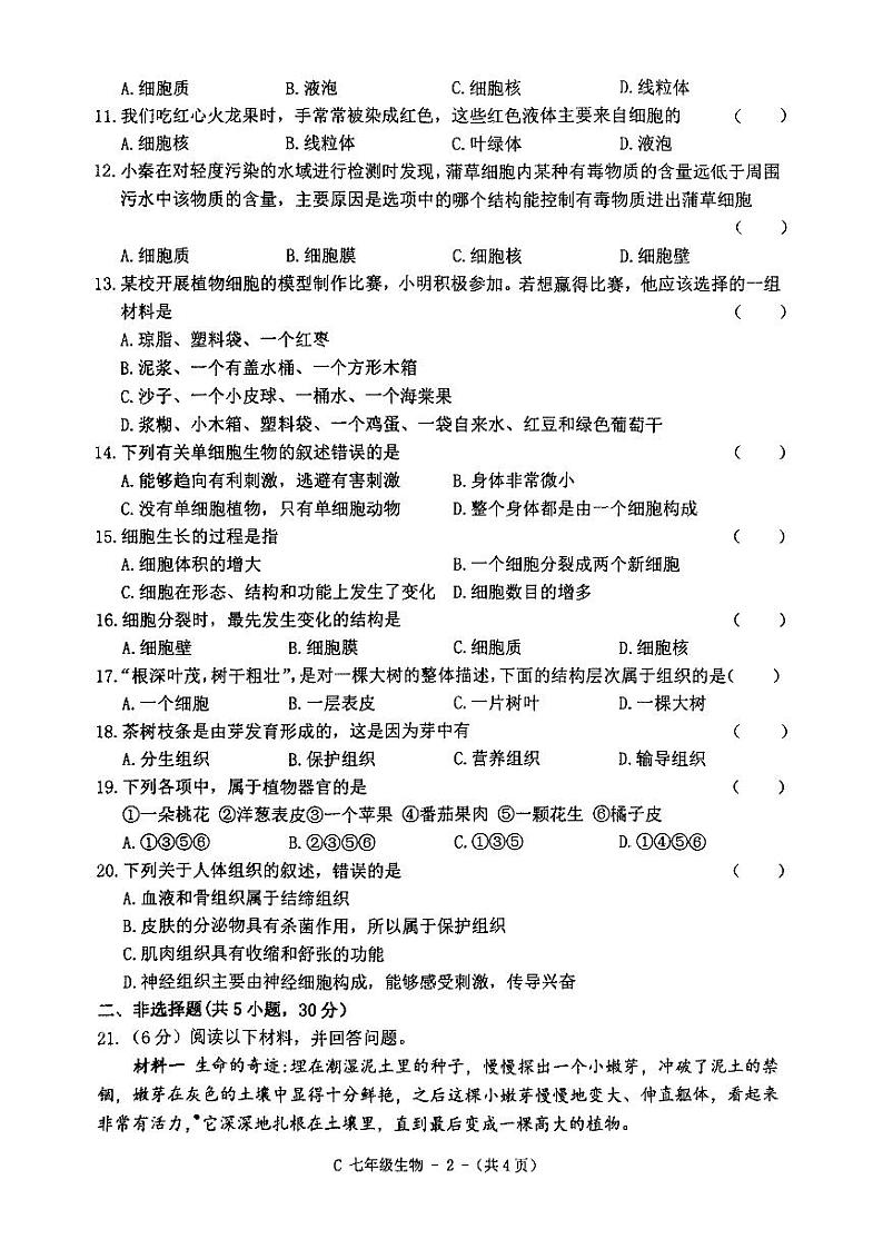 河南省驻马店市确山县2024-2025学年七年级上学期11月期中生物试题第2页