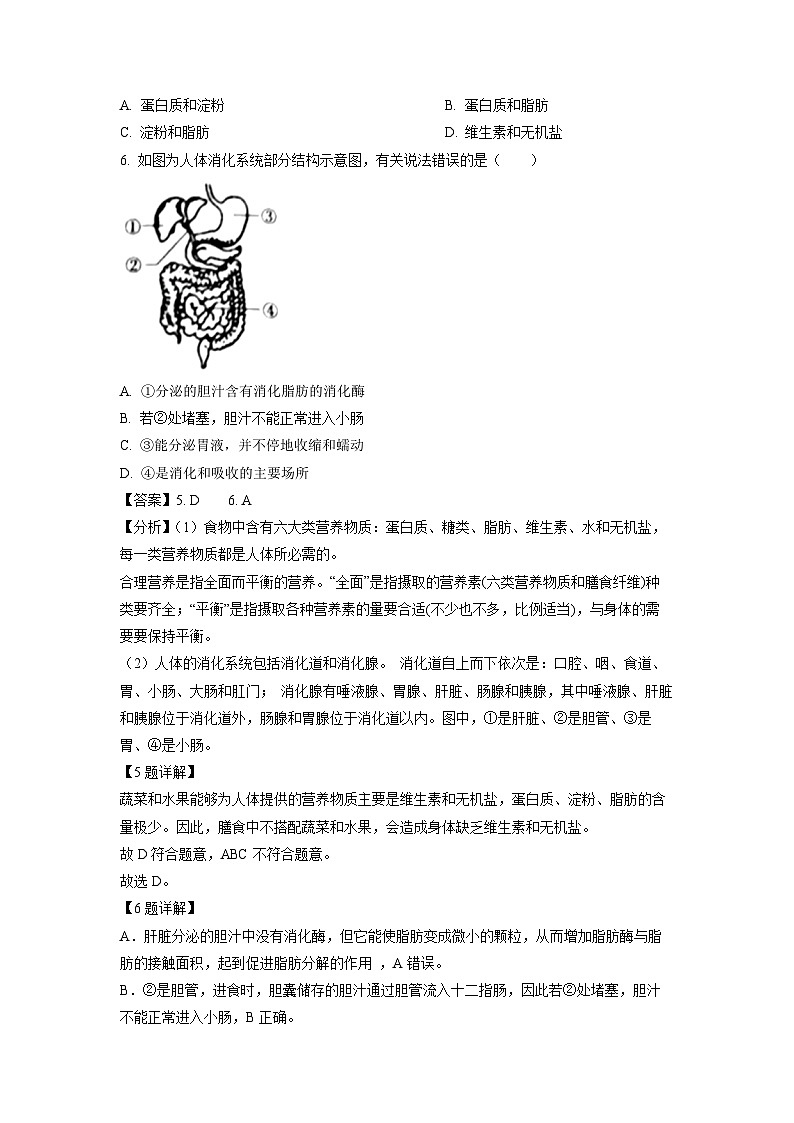 湖北省鄂州市梁子湖区2023-2024学年七年级下学期期中生物试卷(解析版)03