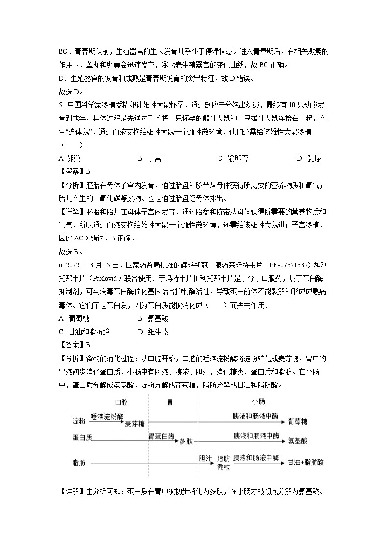 河南省漯河市郾城区2023-2024学年七年级下学期期中生物试卷(解析版)第3页
