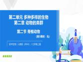 2.2.2 脊椎动物（第3课时 鸟）-初中生物七年级上册 同步教学课件+教学设计（人教版2024）
