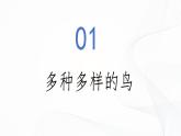 2.2.2 脊椎动物（第3课时 鸟）-初中生物七年级上册 同步教学课件+教学设计（人教版2024）