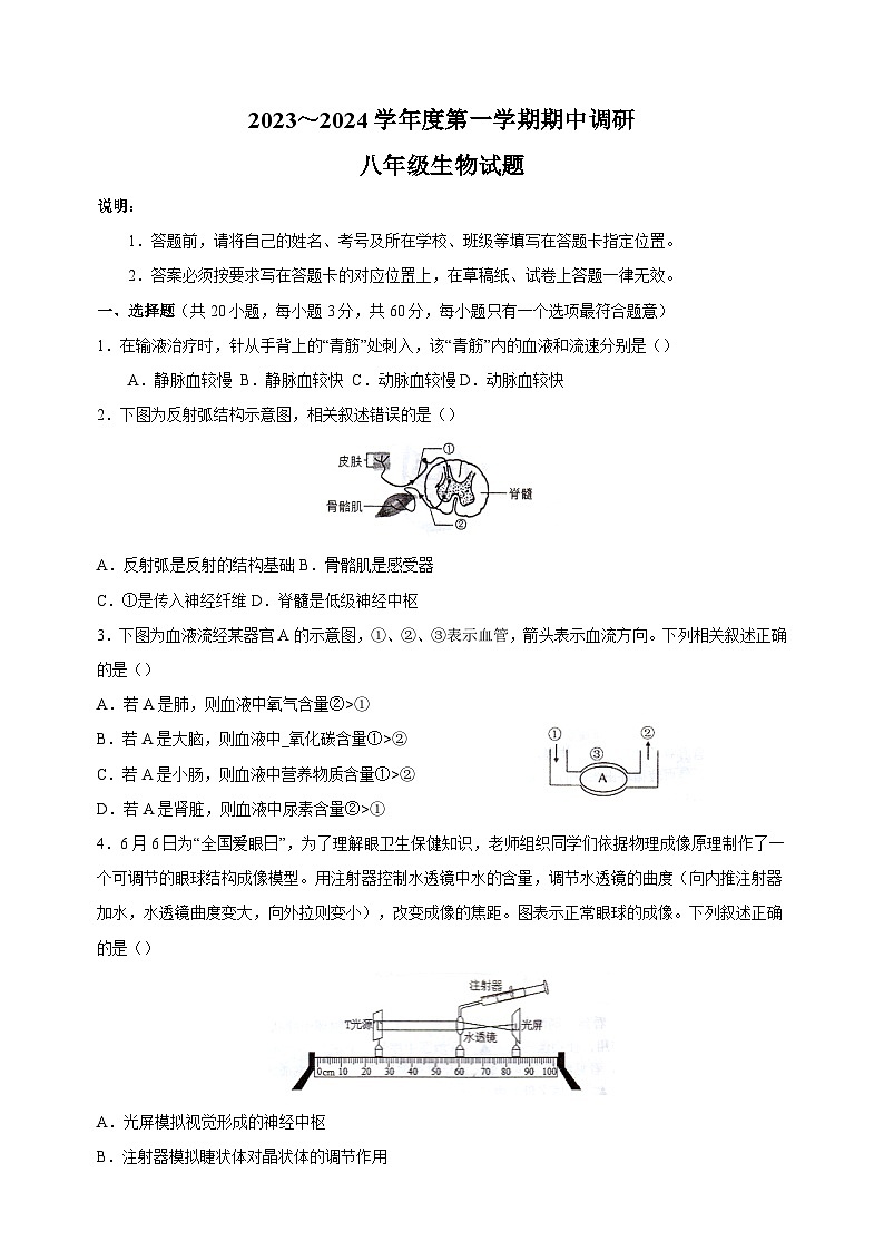 江苏省徐州市邳州市2023-2024学年八年级上学期期中生物试卷（含答案）01