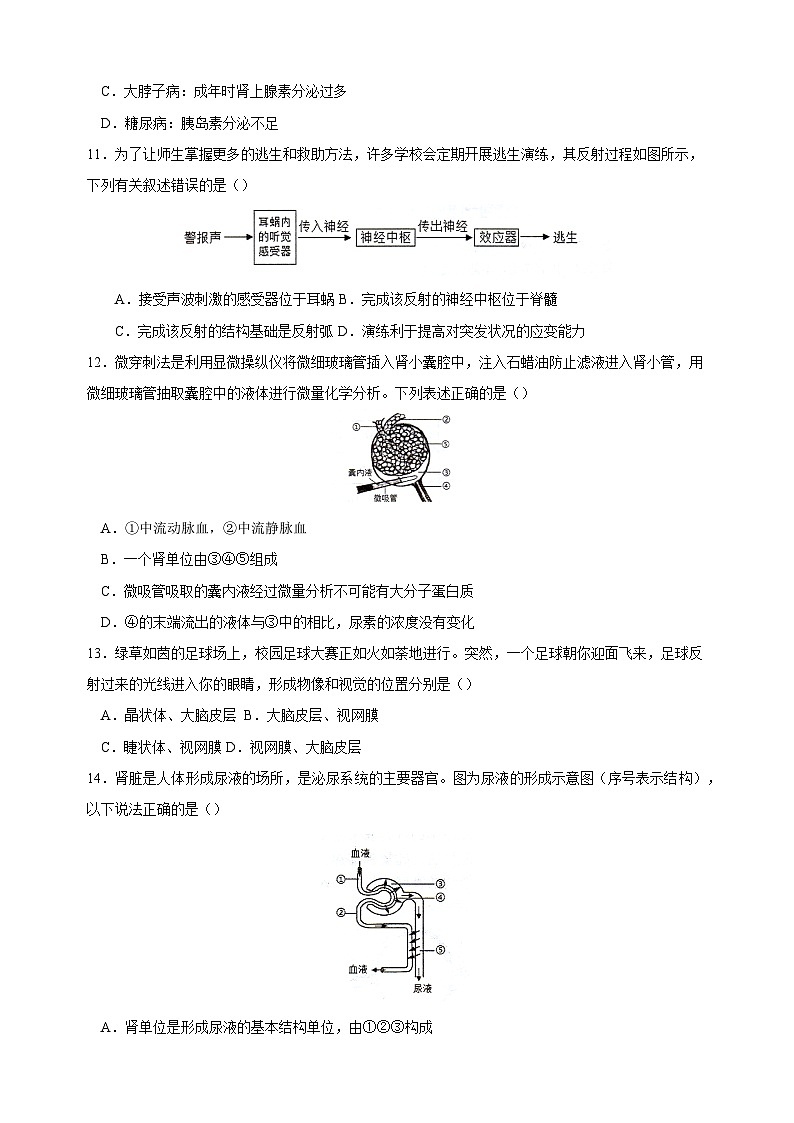 江苏省徐州市邳州市2023-2024学年八年级上学期期中生物试卷（含答案）03