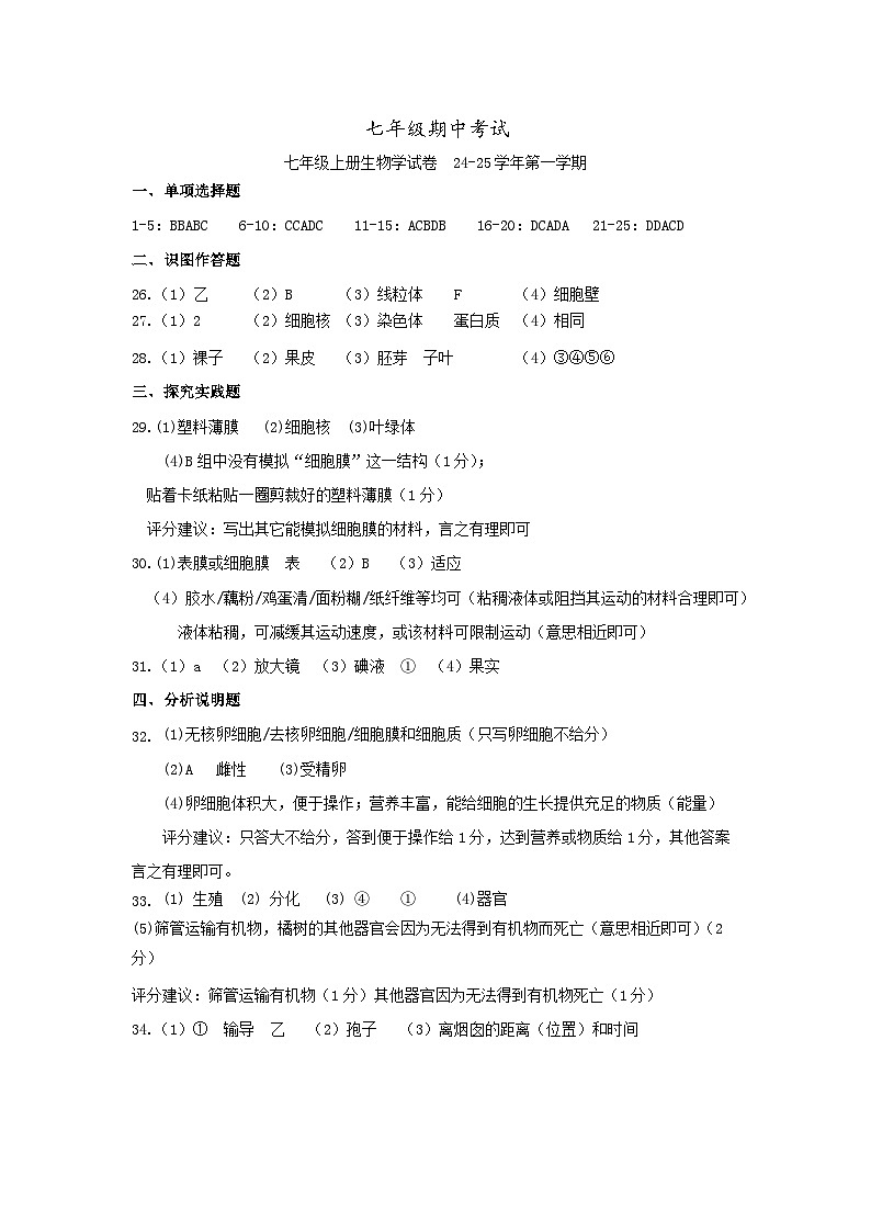 2024年七年级上册期中考试生物参考答案第1页