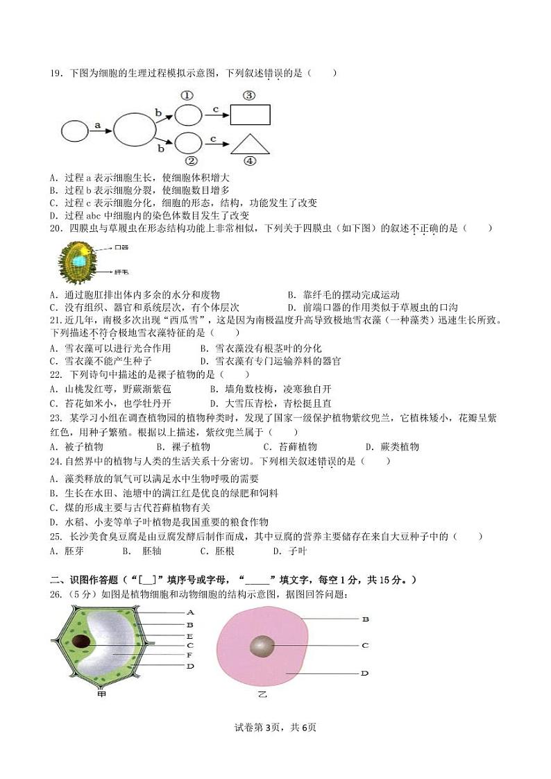 2024年七年级上册生物学期末考试试题卷第3页
