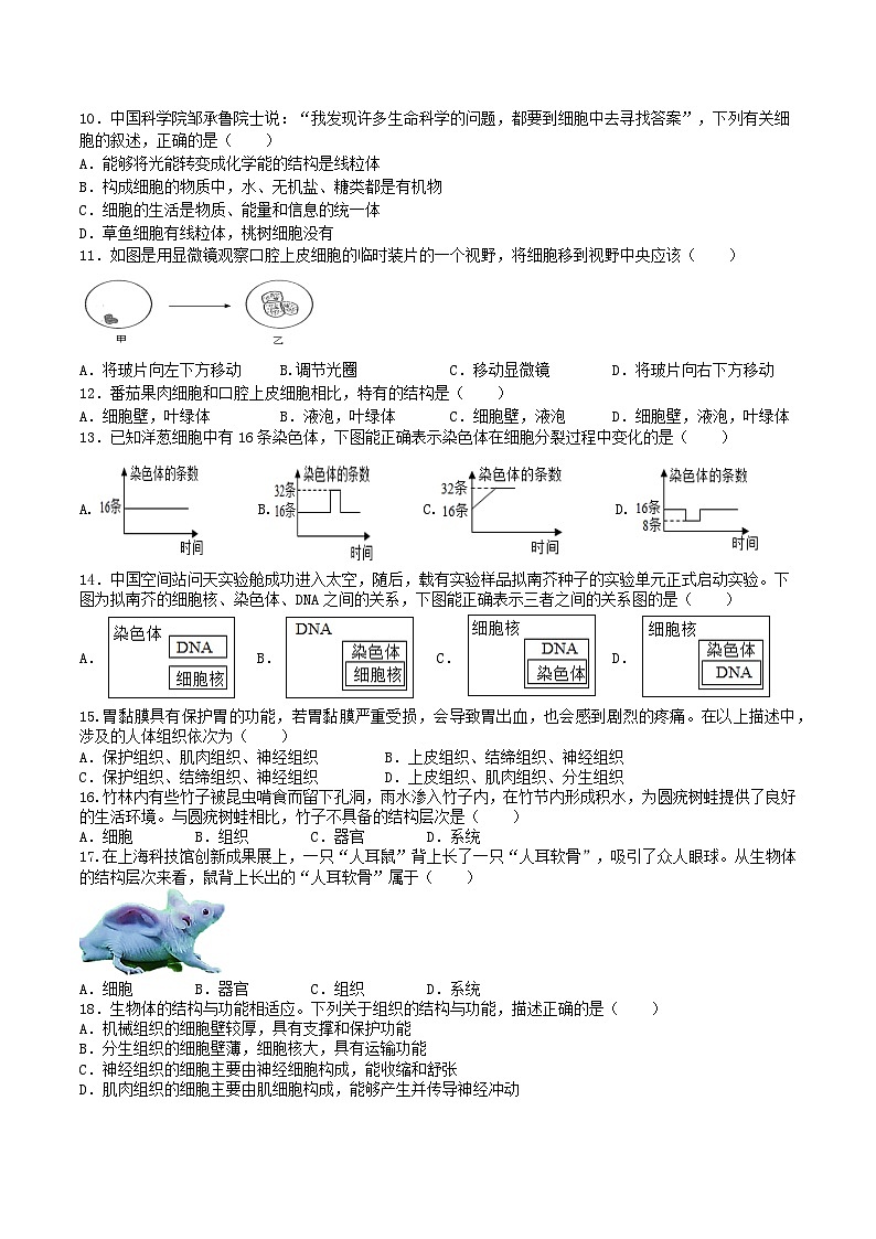 2024年七年级上册生物学期末考试试题卷第2页