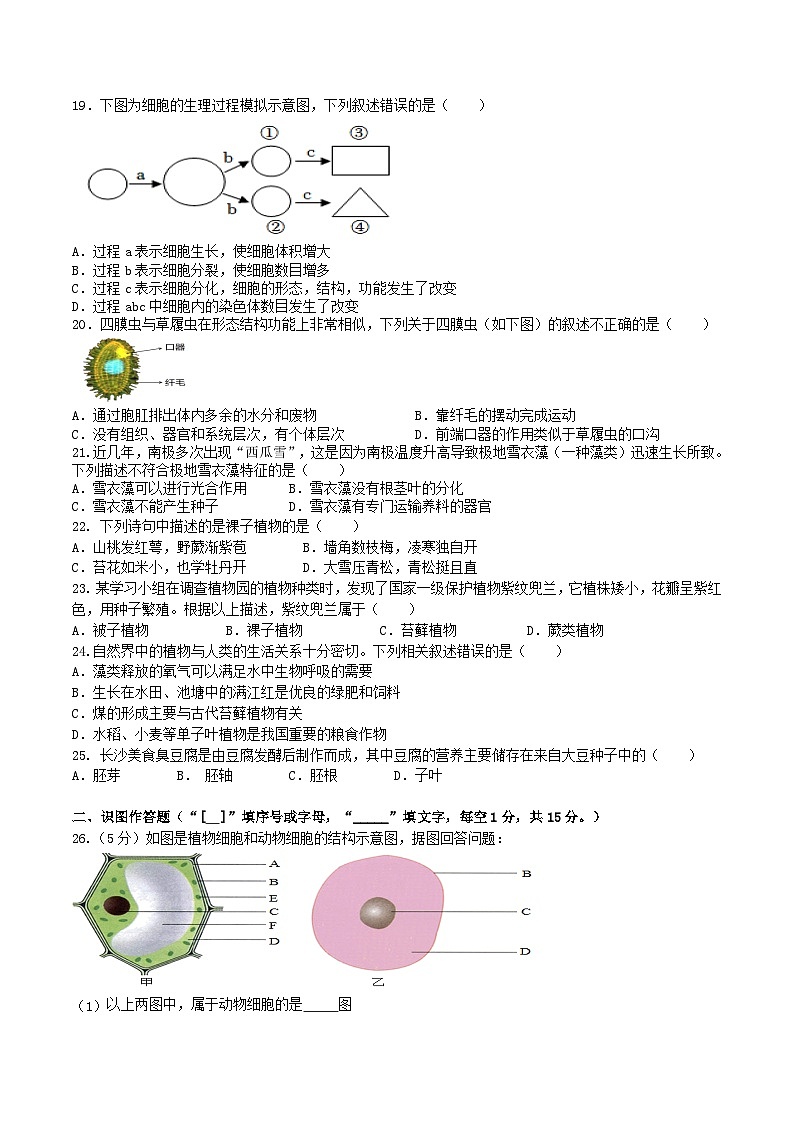 2024年七年级上册生物学期末考试试题卷第3页
