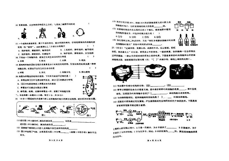2024年哈尔滨市47中学七年级（上）期中考试生物试题及答案11.1第2页