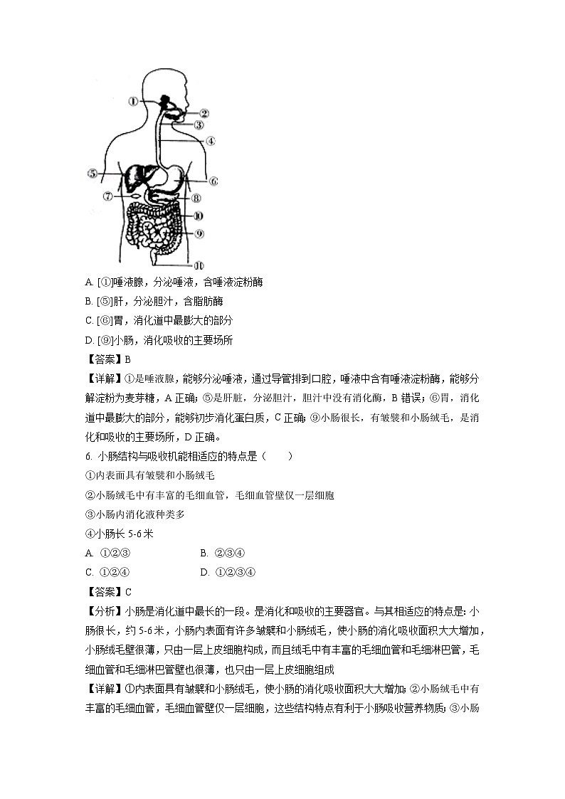 四川省泸州市江阳区2023-2024学年七年级下学期期中生物试卷(解析版)第3页