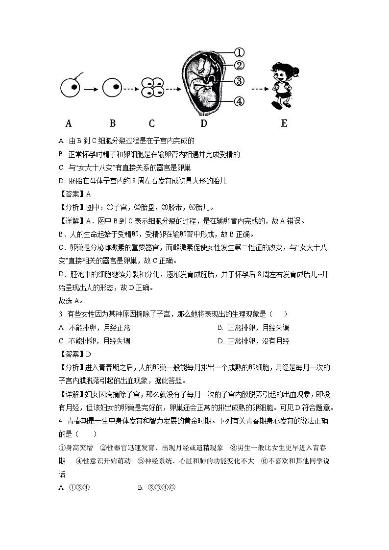 山东省临沂市平邑县2023-2024学年七年级下学期期中生物试卷(解析版)第2页