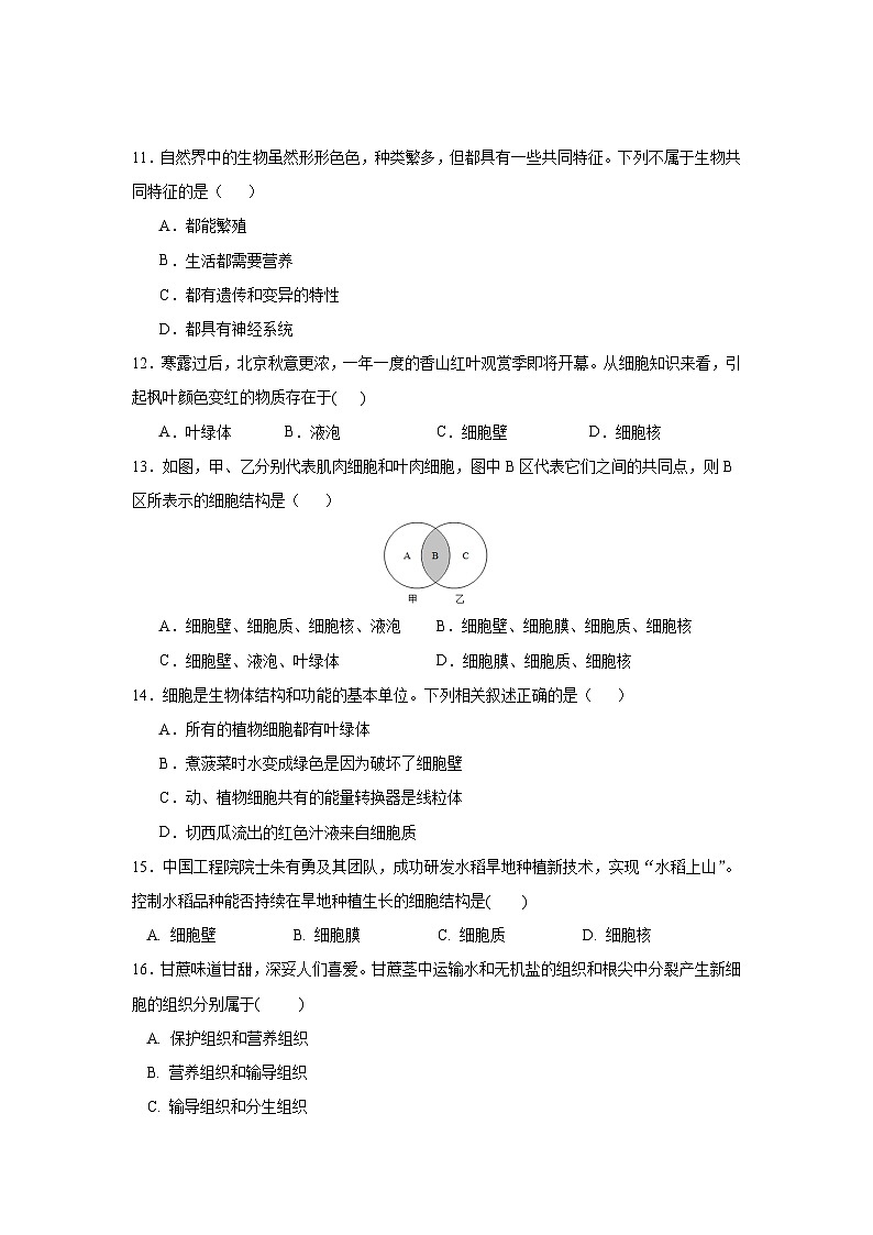 2024.10.31-七上生物试卷第3页