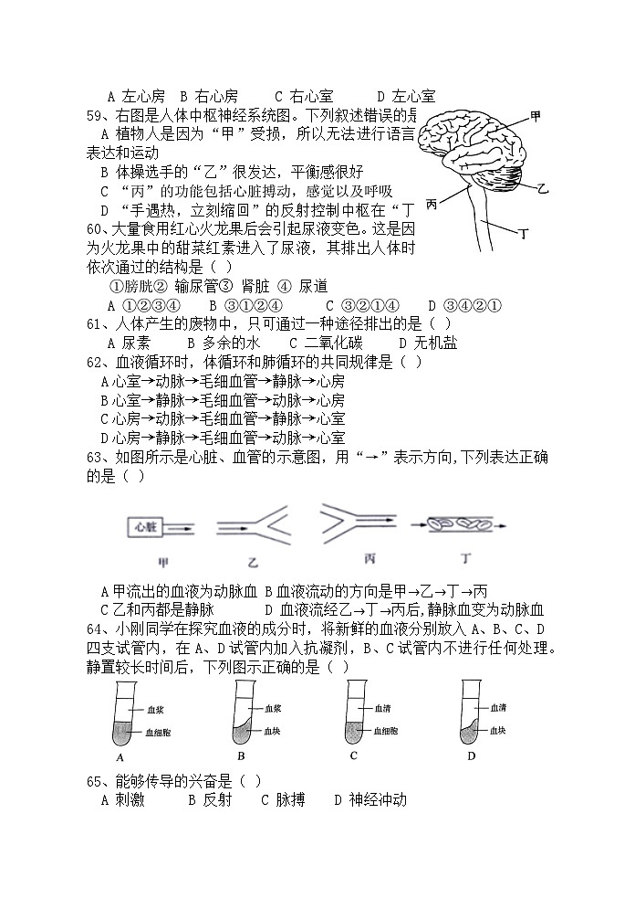 江苏省淮安市浦东实验中学2024-2025学年八年级上学期期中考试生物试题第2页