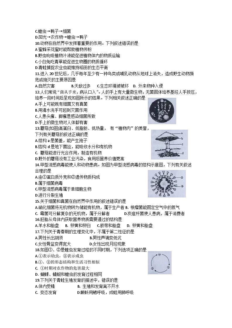 河南省商丘市柘城县2024-2025学年八年级上学期11月期中生物试题Word版附答案第2页