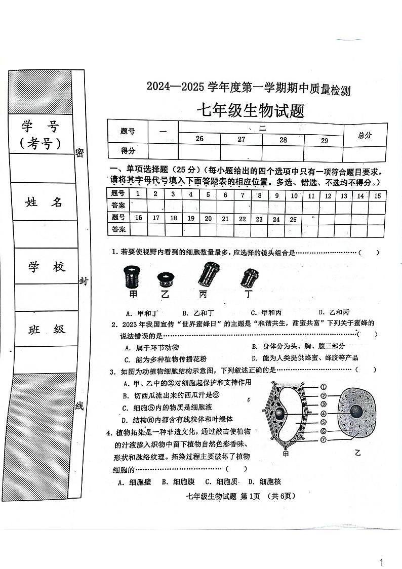 河北省秦皇岛市昌黎县2024-2025学年七年级上学期11月期中生物试题01