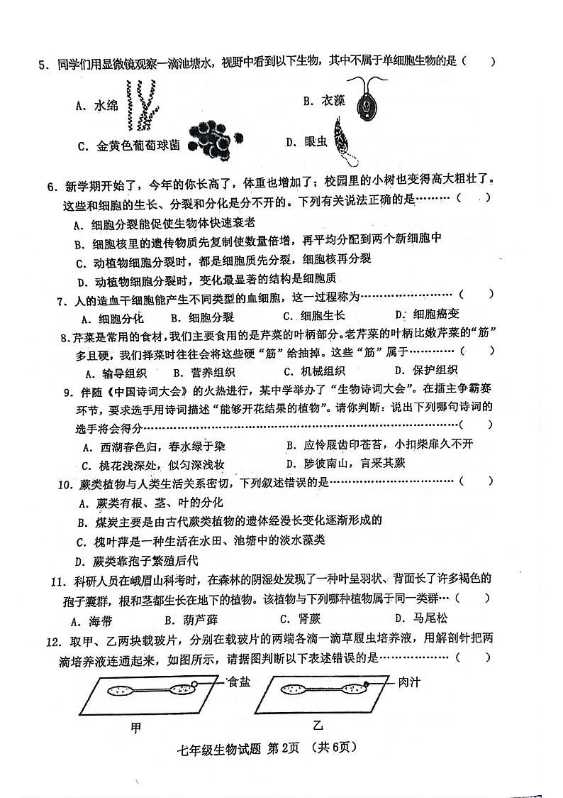 河北省秦皇岛市昌黎县2024-2025学年七年级上学期11月期中生物试题02