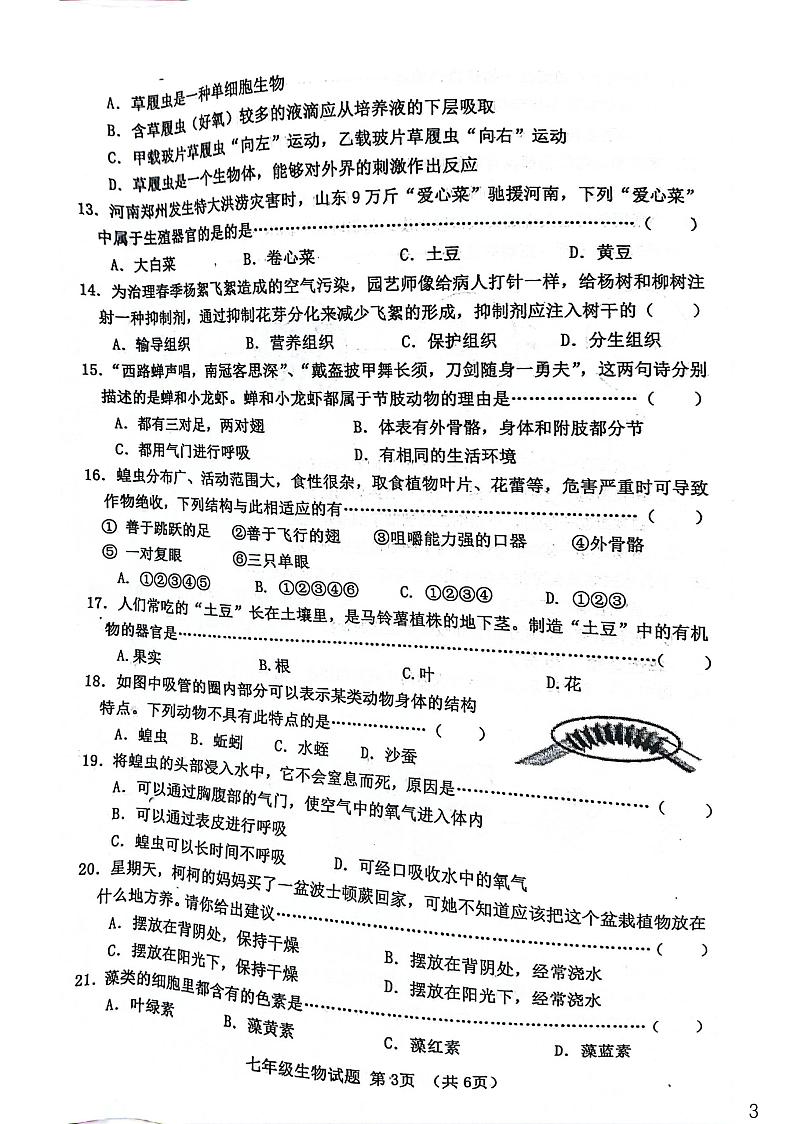 河北省秦皇岛市昌黎县2024-2025学年七年级上学期11月期中生物试题03