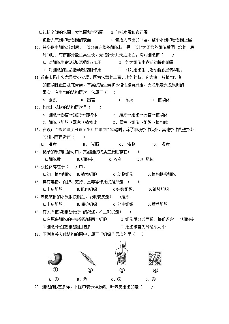 福建省龙岩市上杭县农村片区2024-2025学年七年级上学期期中考试生物试题第2页