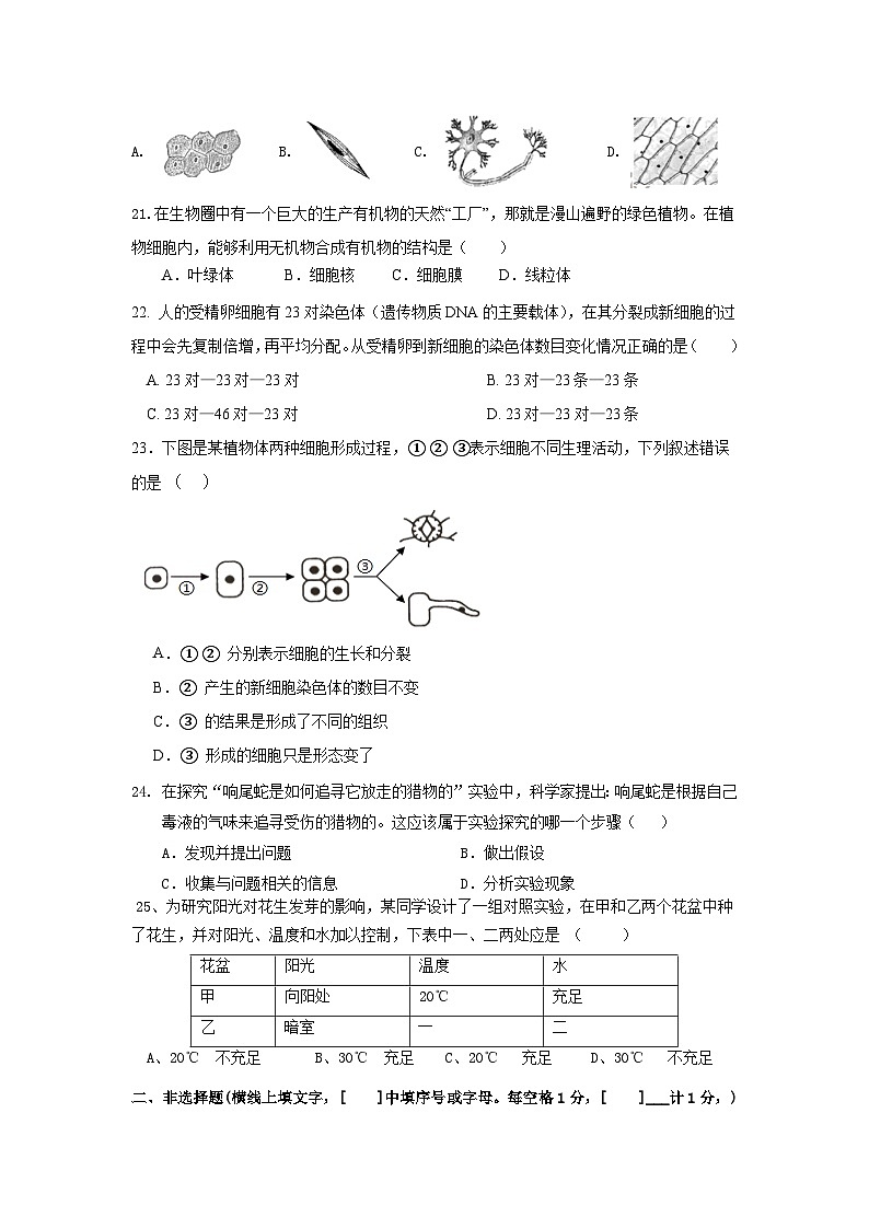 福建省龙岩市上杭县农村片区2024-2025学年七年级上学期期中考试生物试题第3页