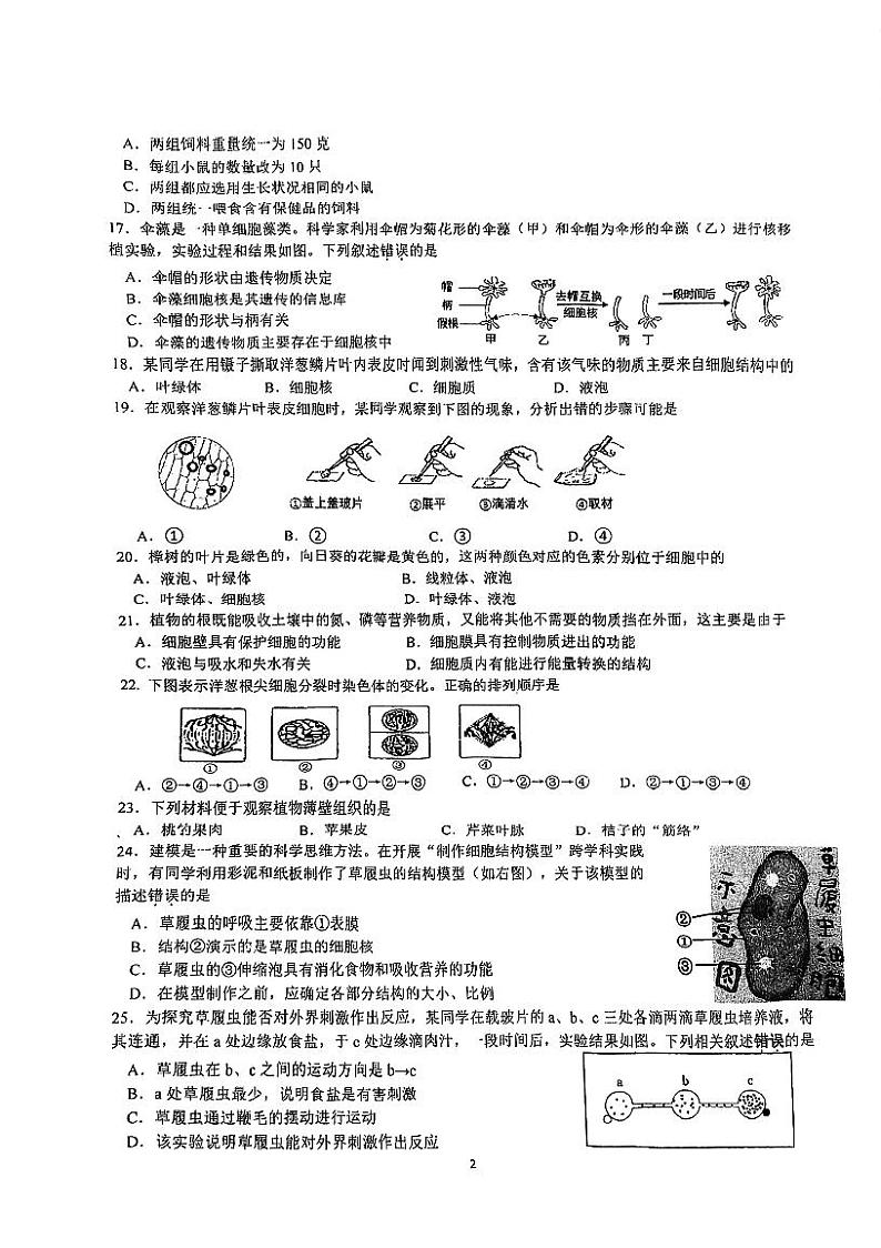 江苏省南京市江宁区联合体2024-2025学年七年级上学期11月期中生物试题第2页