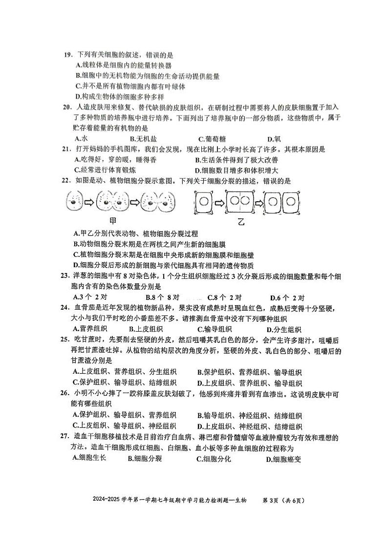 广东省梅州市五华县2024-2025学年七年级上学期期中考试生物试题第3页