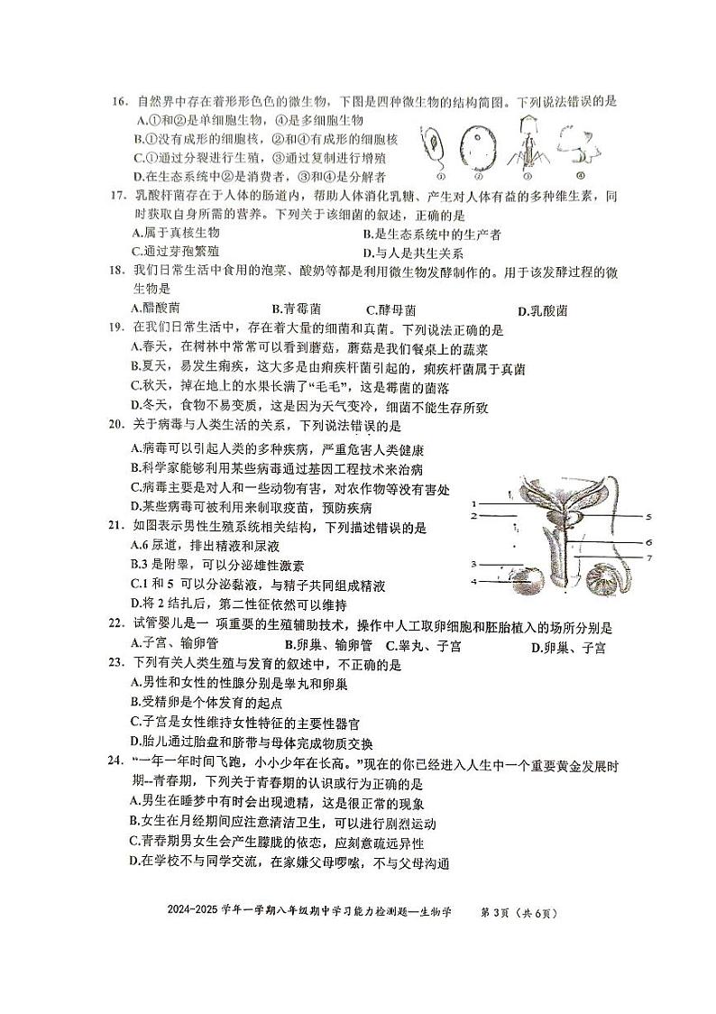 广东省梅州市五华县2024-2025学年八年级上学期期中考试生物试题第3页