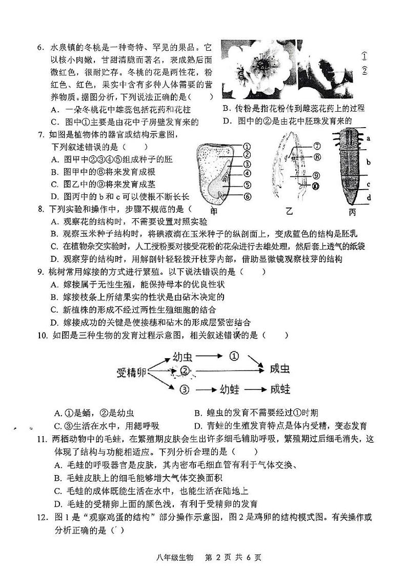 山东省枣庄市山亭区2024-2025学年八年级上学期期中生物试题+第2页