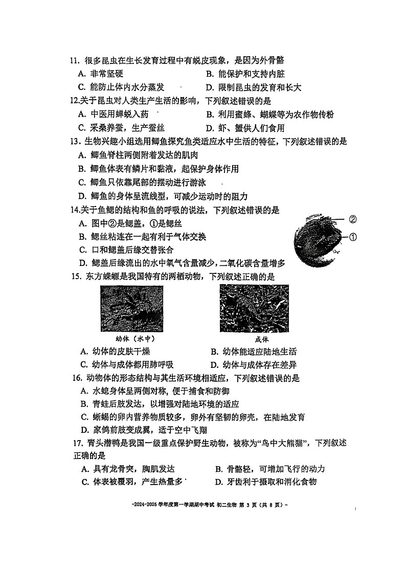 2024北京二中初二上学期期中生物试卷第3页