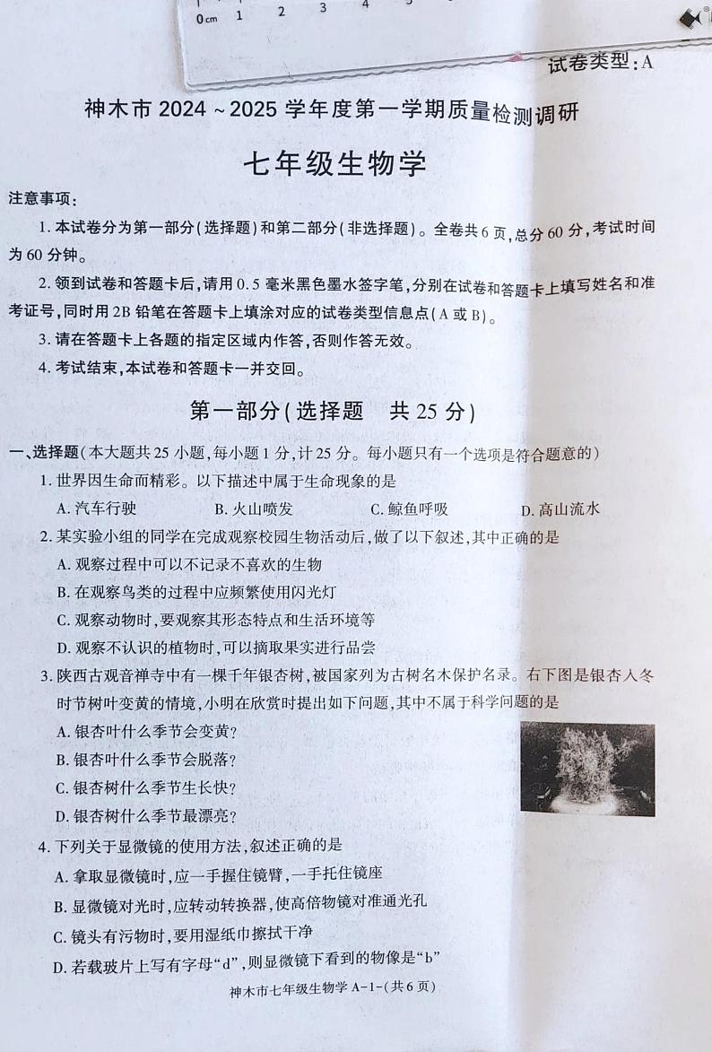 陕西省神木市2024-2025学年七年级上学期期中考试生物试卷第1页