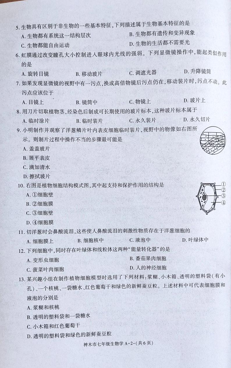 陕西省神木市2024-2025学年七年级上学期期中考试生物试卷第2页