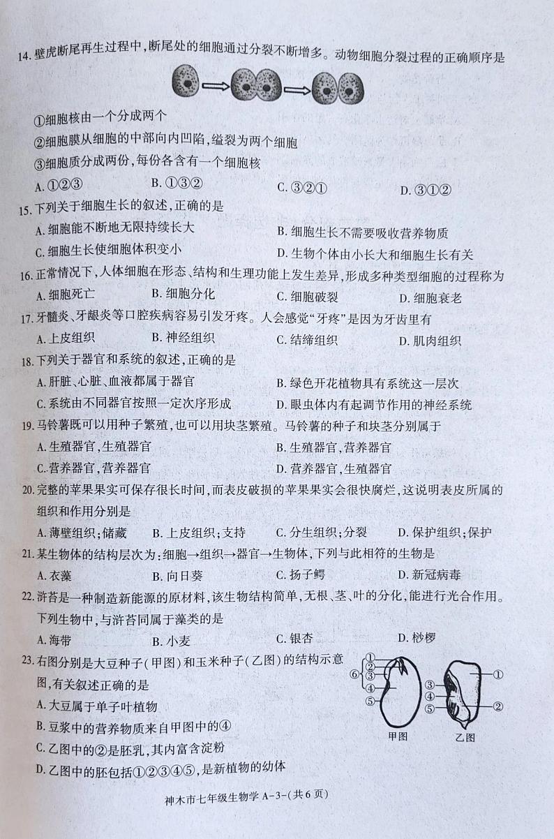 陕西省神木市2024-2025学年七年级上学期期中考试生物试卷第3页