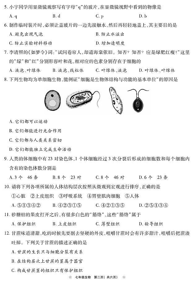 河南省鹤壁市2024-2025学年上期期中教学质量调研七年级生物试卷第2页