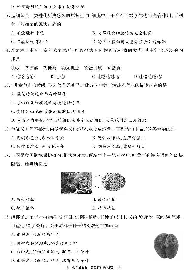河南省鹤壁市2024-2025学年上期期中教学质量调研七年级生物试卷第3页