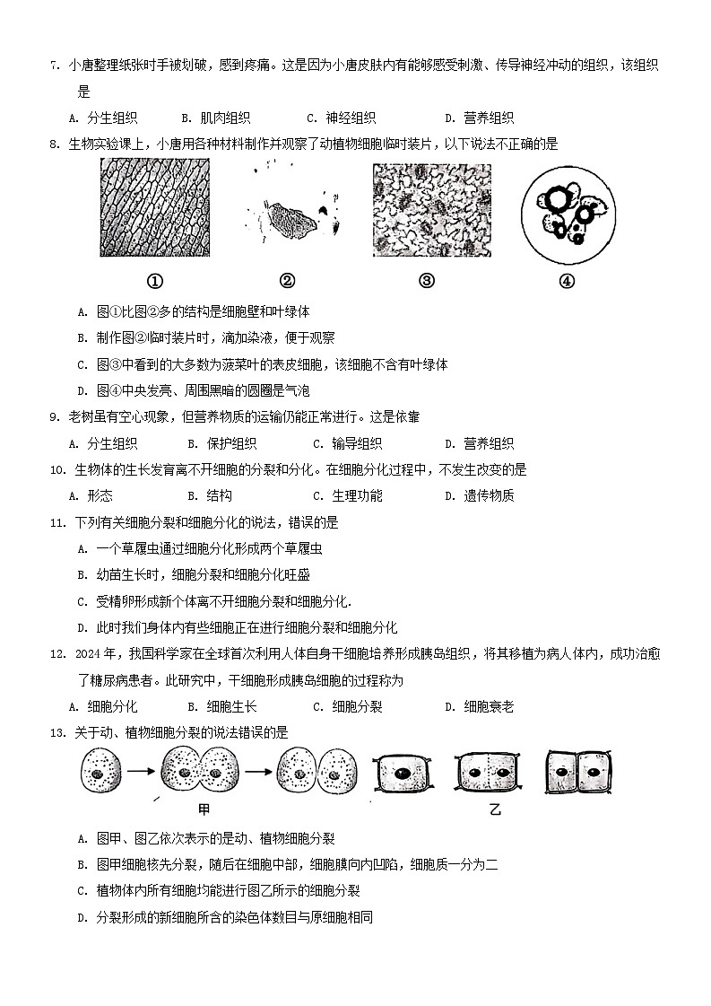 河北省唐山市路南区2024-2025学年七年级上学期11月期中生物试题第2页