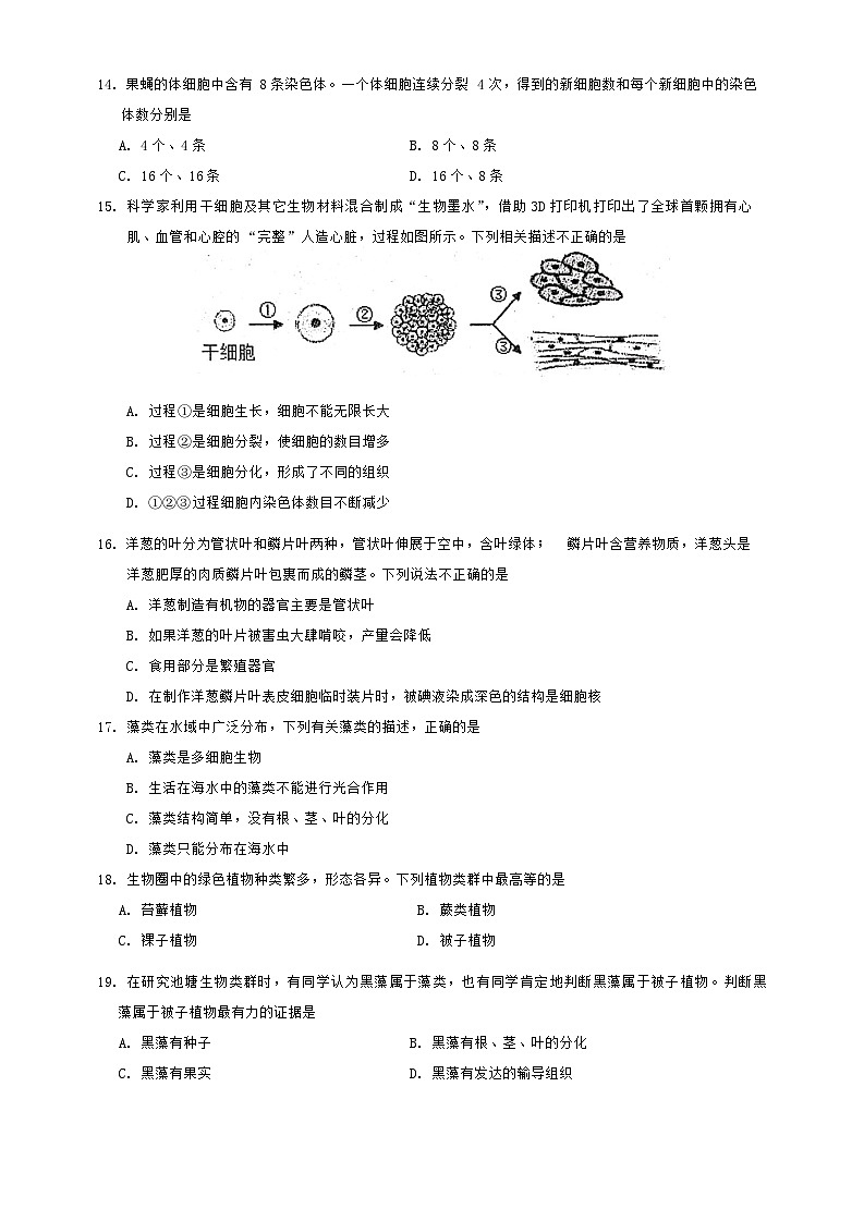 河北省唐山市路南区2024-2025学年七年级上学期11月期中生物试题第3页