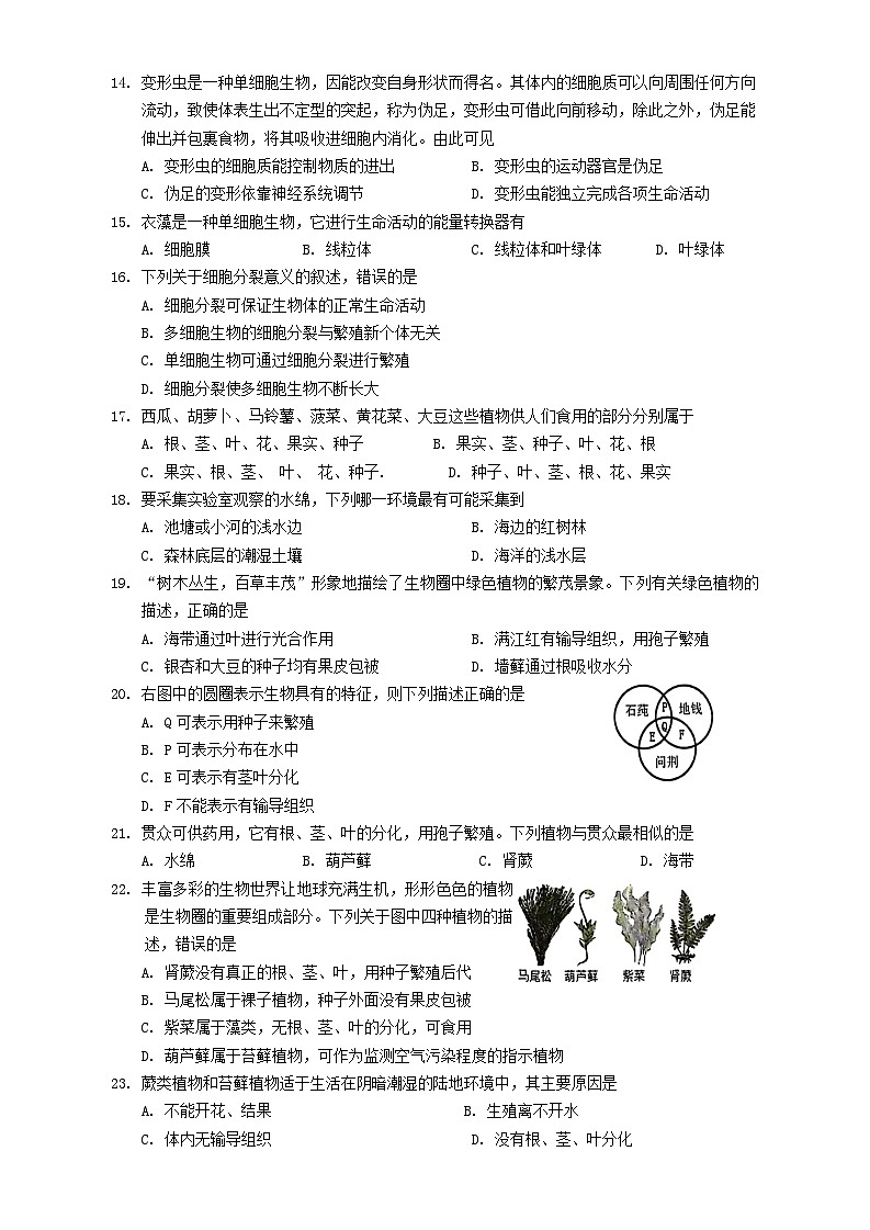 生物第3页