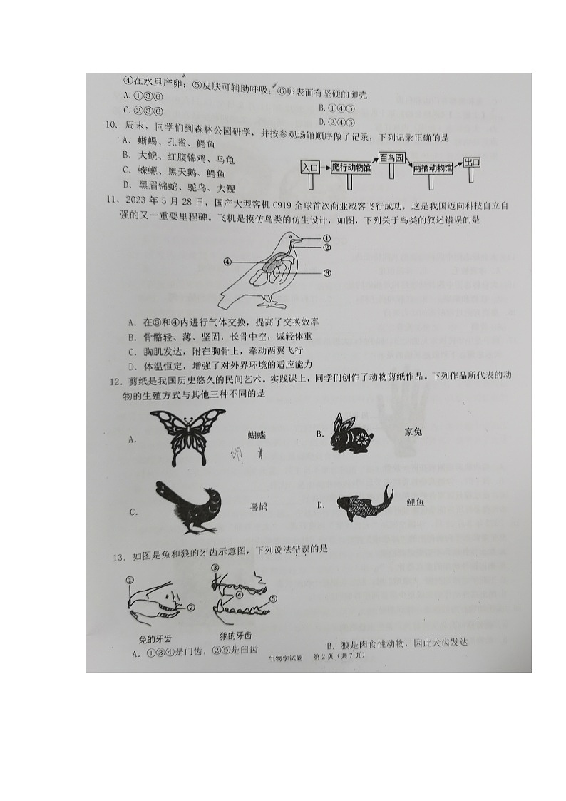 广东省东莞市常平镇2024-2025学年八年级上学期11月期中生物试题02