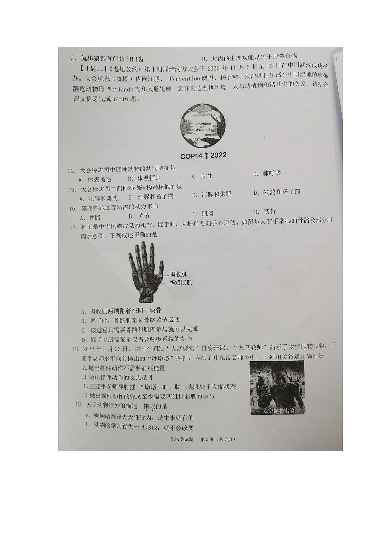 广东省东莞市常平镇2024-2025学年八年级上学期11月期中生物试题03