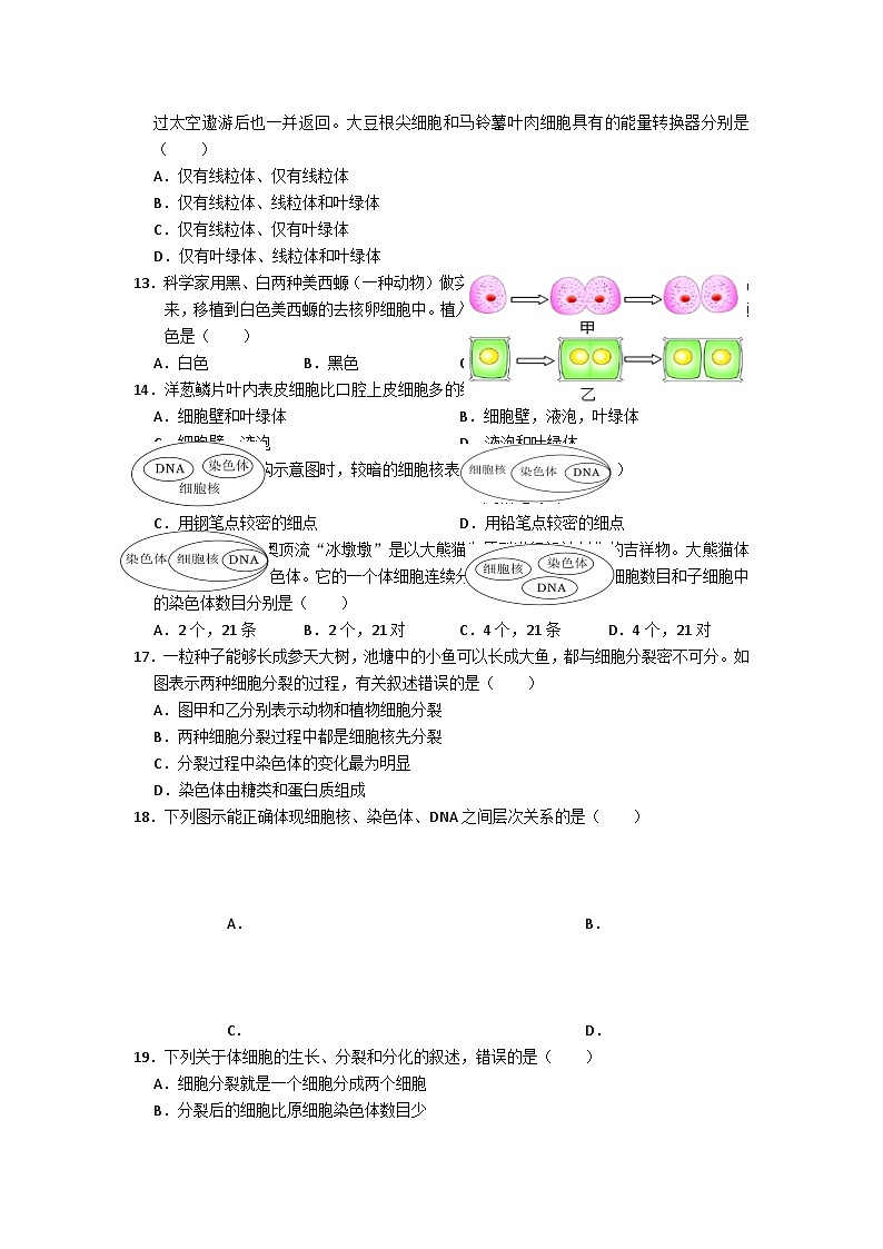 四川省凉山州宁南县初级中学校2024-2025学年七年级上学期第一次月考生物试题03