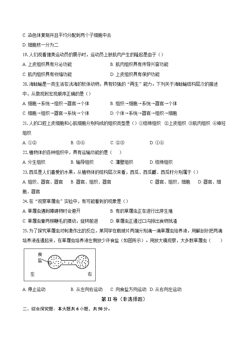 山东省聊城市东阿县姜楼中学2024-2025学年七年级上学期11月月考生物试题第3页