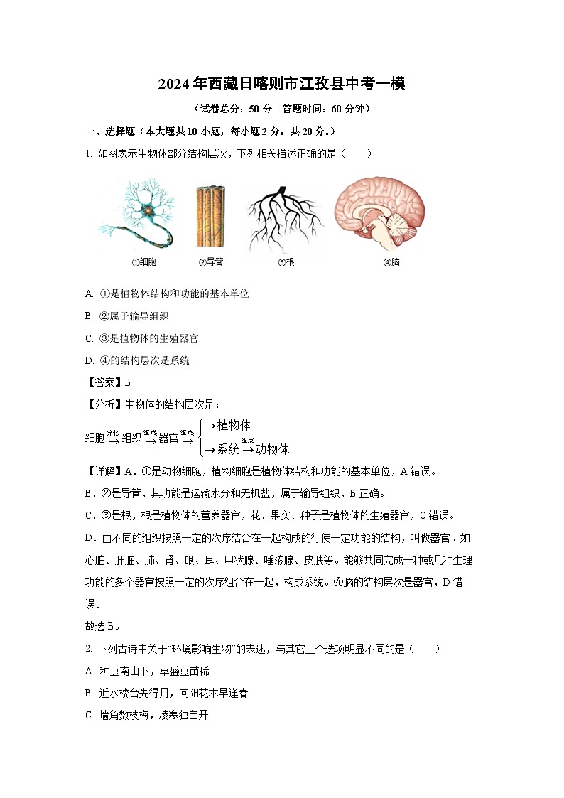 2024年西藏日喀则市江孜县中考一模生物试卷(解析版)第1页