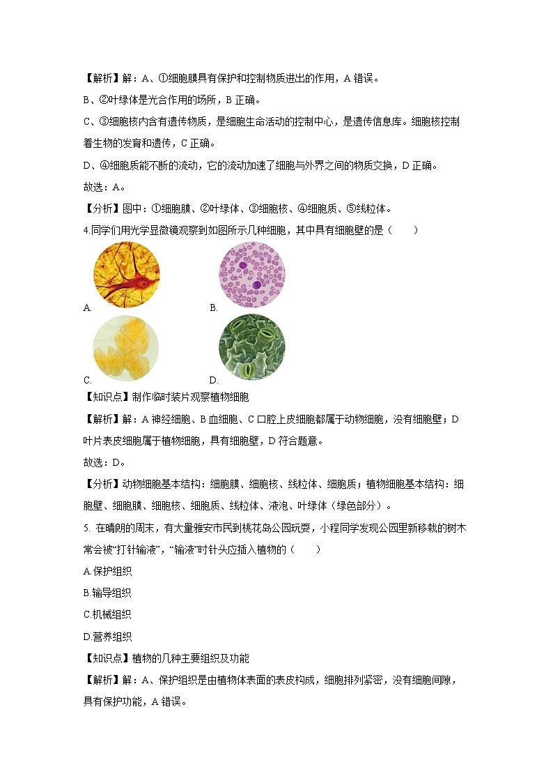 2024年中考考前押题密卷(济南卷)生物试卷(解析版)第3页
